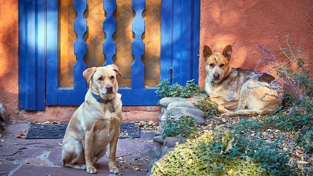 Photo of Others in Taos