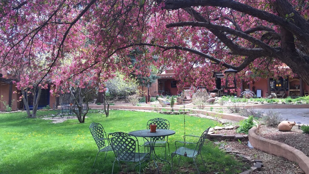Photo of Others in Taos