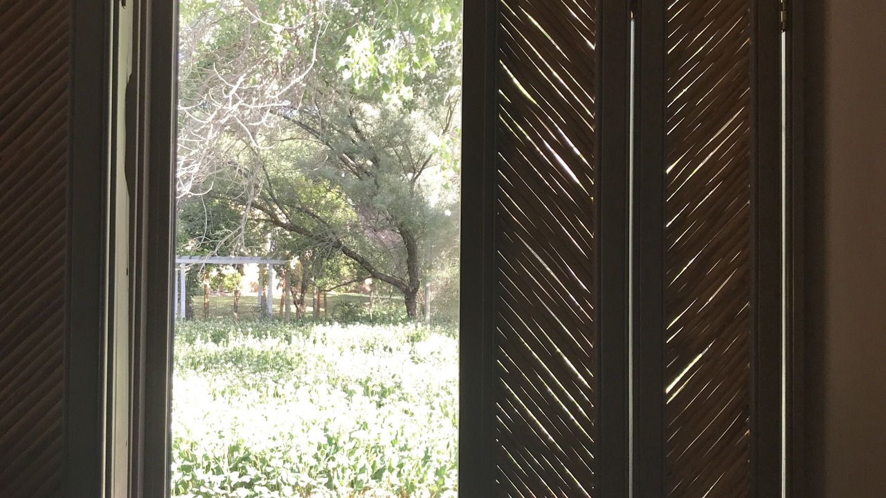 Photo of Bedroom in Corrales