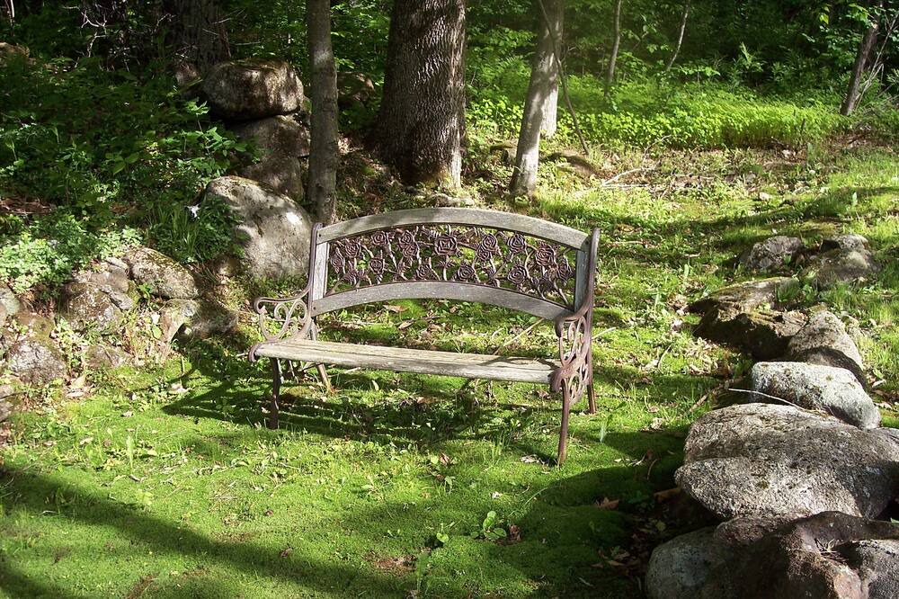 Photo of Outdoor in Stoddard