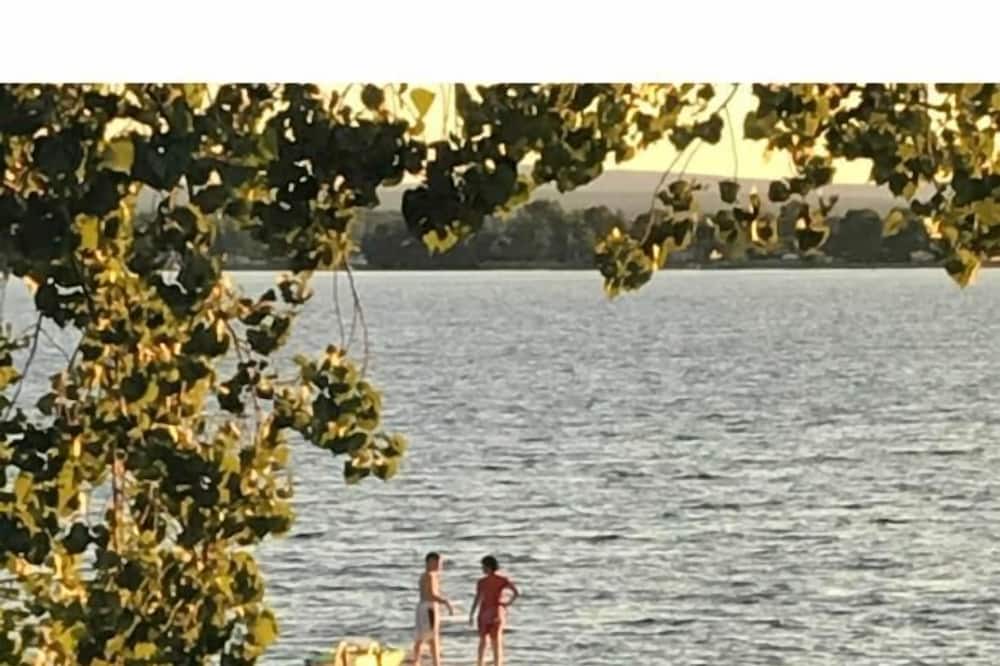 Photo of Others in Champlain