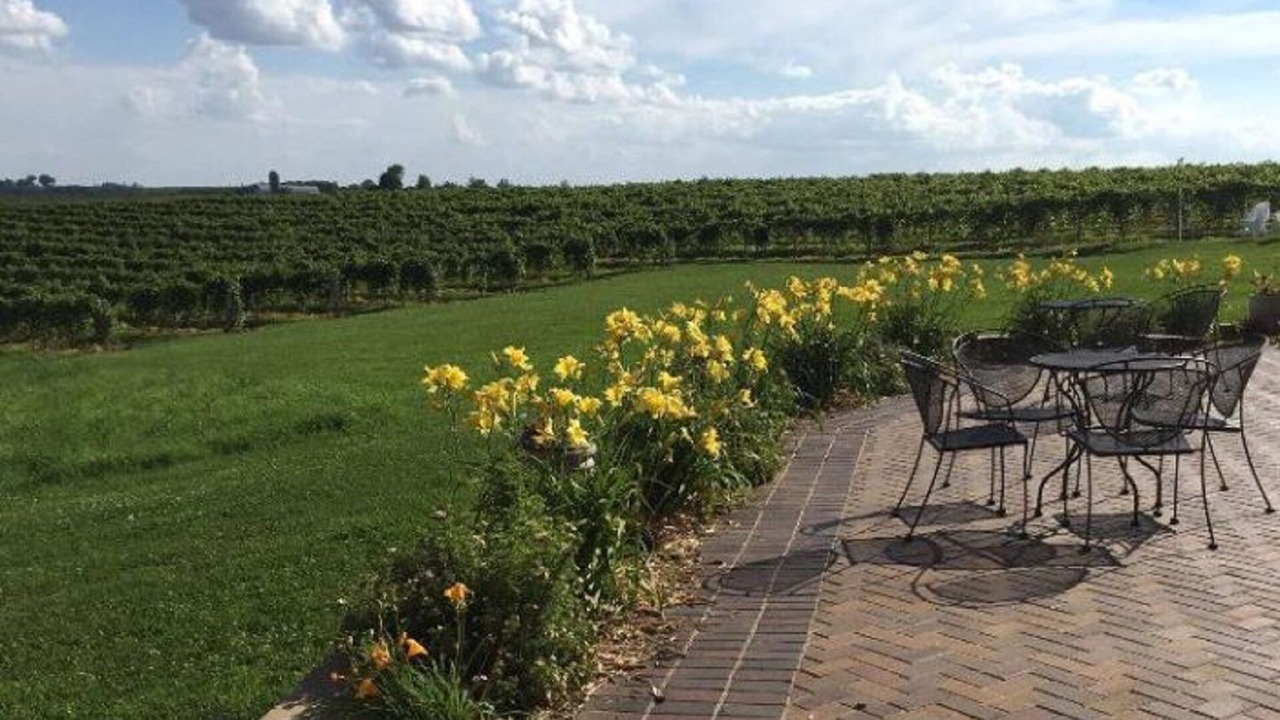 Photo of Outdoor in Viroqua