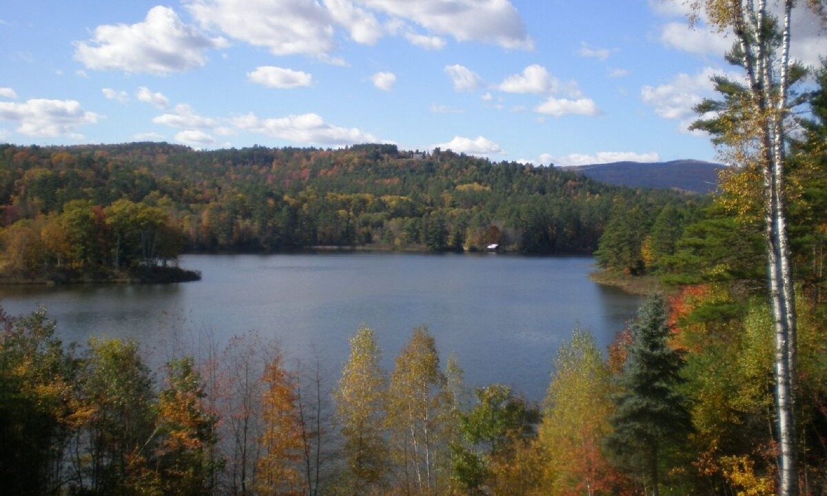 Photo of Others in Lyman