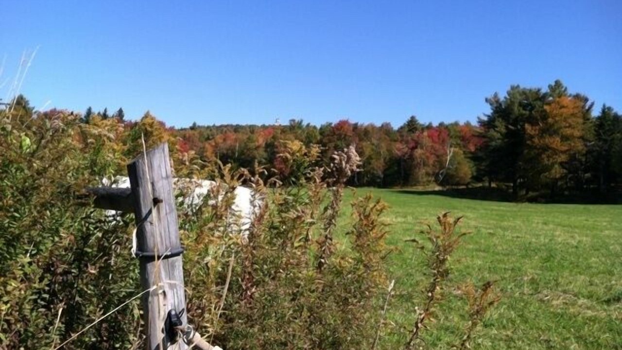 Photo of Others in Stoddard