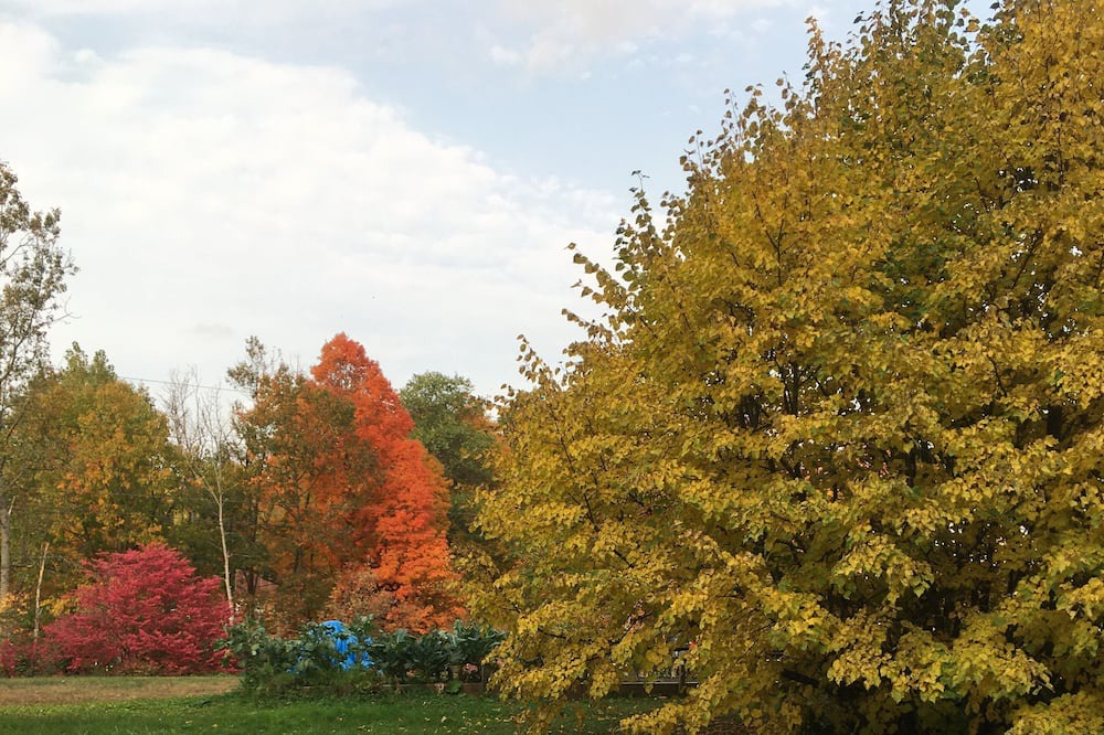 Photo of Outdoor in Hardwick