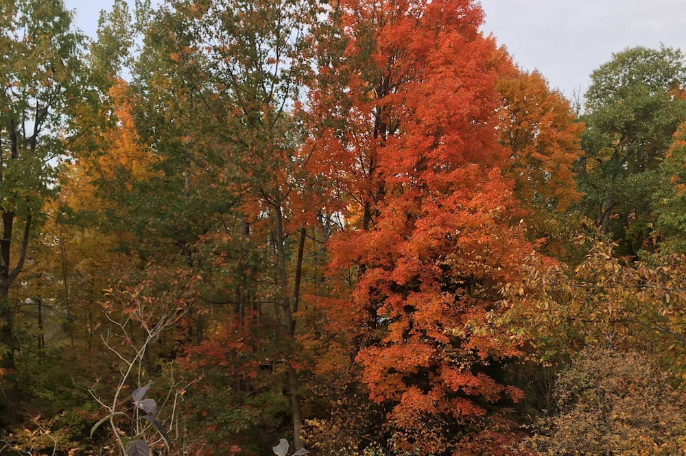 Photo of Outdoor in Hardwick