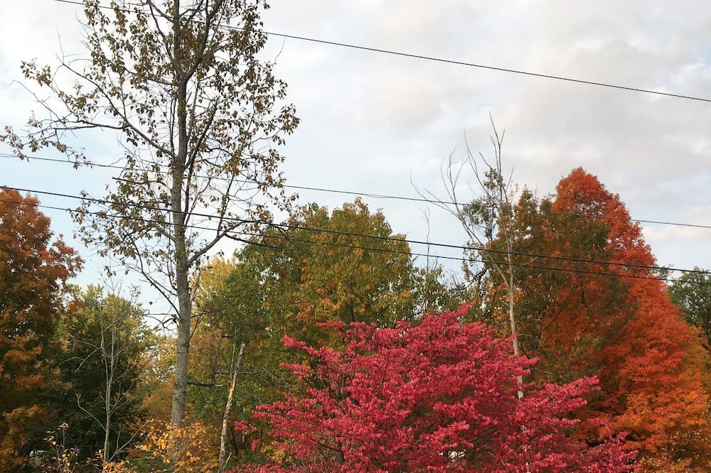 Photo of Outdoor in Hardwick