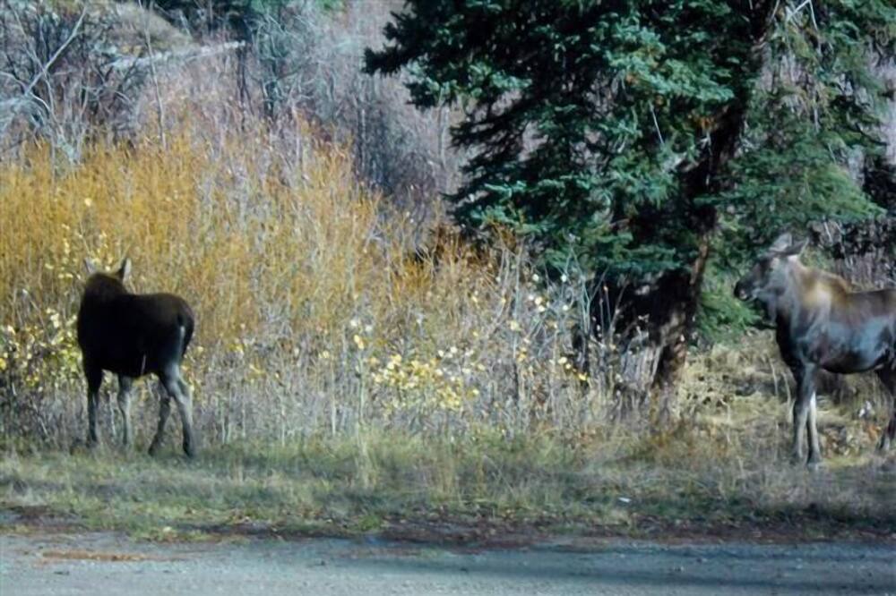 Photo of Outdoor in South Fork