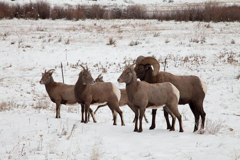 Photo of Others in South Fork