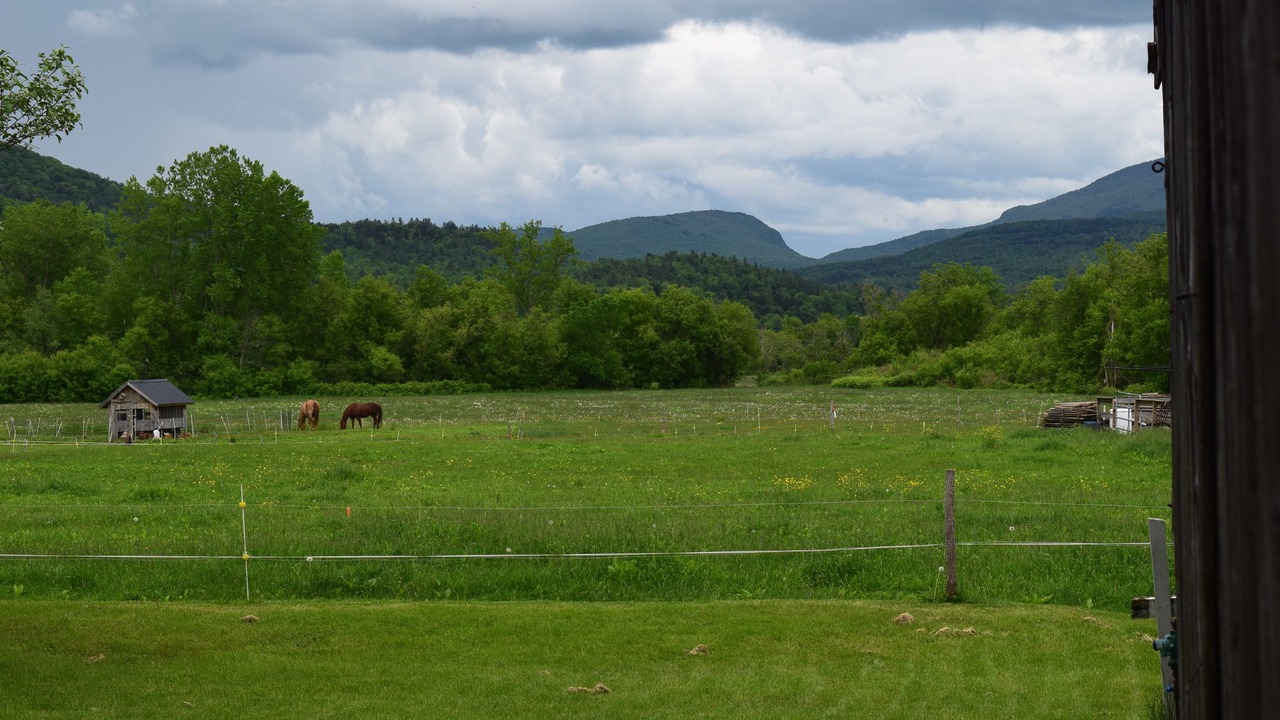 Photo of Others in Richford