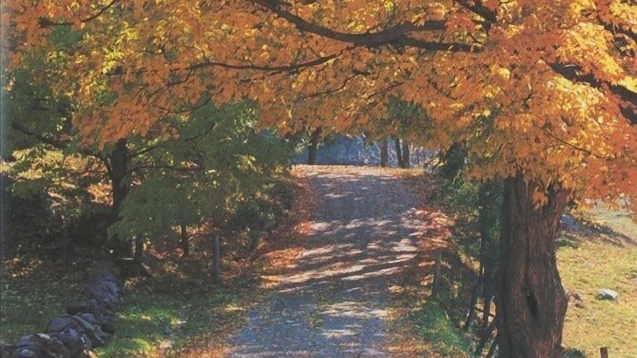 Photo of Outdoor in Craftsbury Village