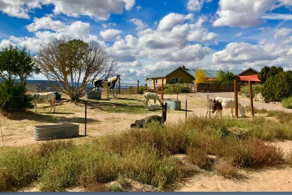 Photo of Others in Abiquiu
