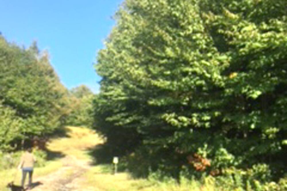Photo of Others in Bolton Valley