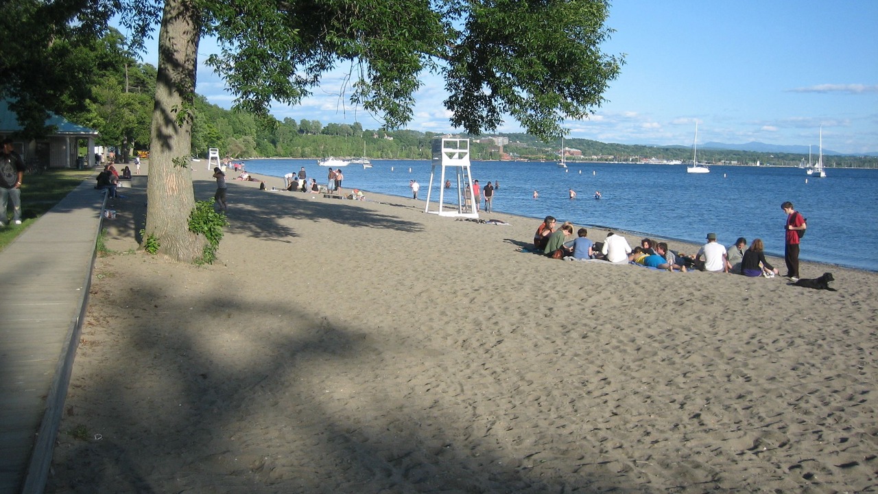 Photo of Others in South Burlington