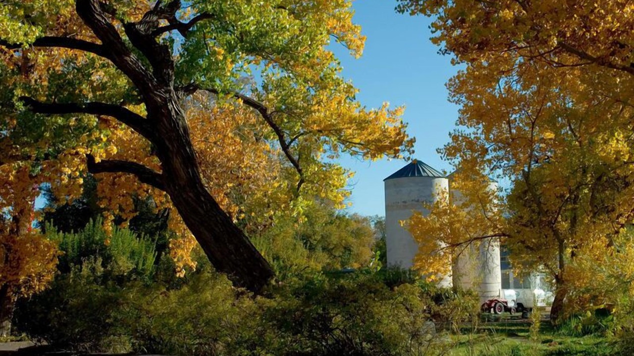 Photo of Outdoor in Los Ranchos de Albuquerque