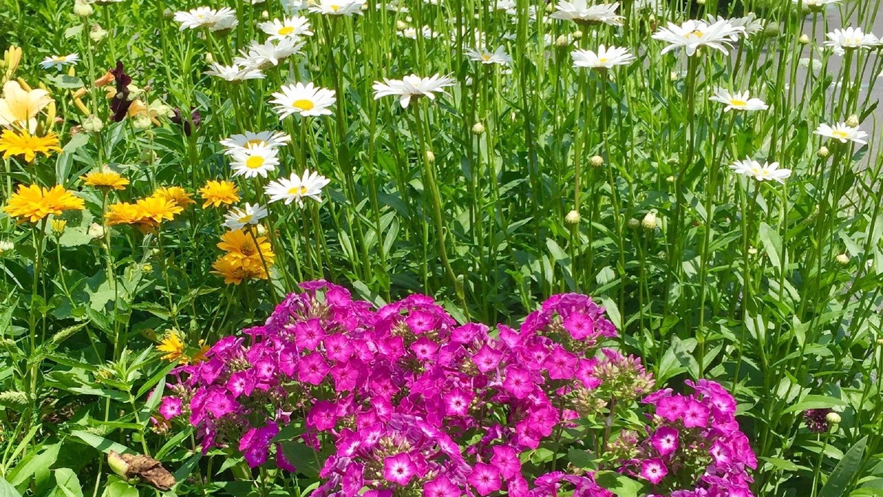 Photo of Outdoor in Norfolk