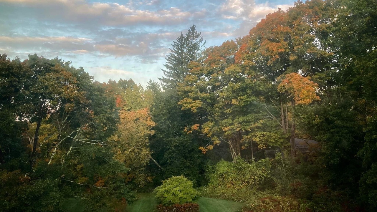 Photo of Outdoor in Norfolk