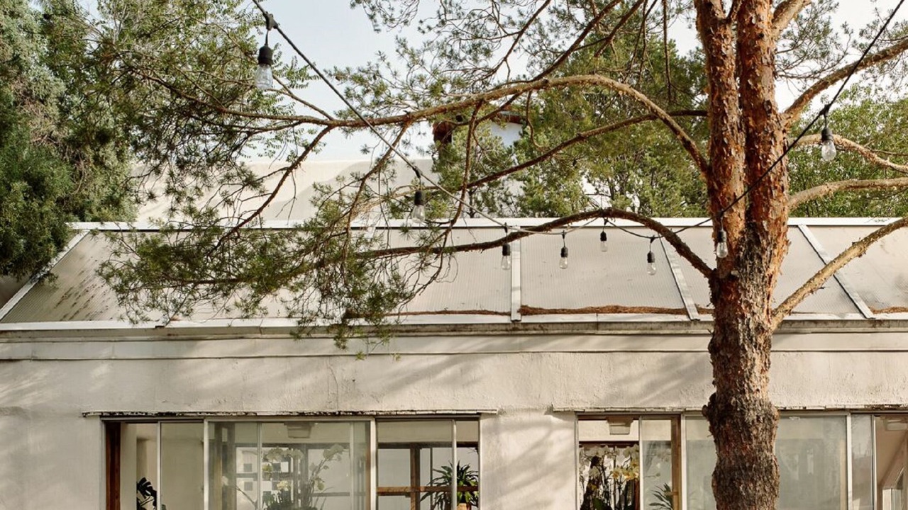 Photo of Outdoor in Southside