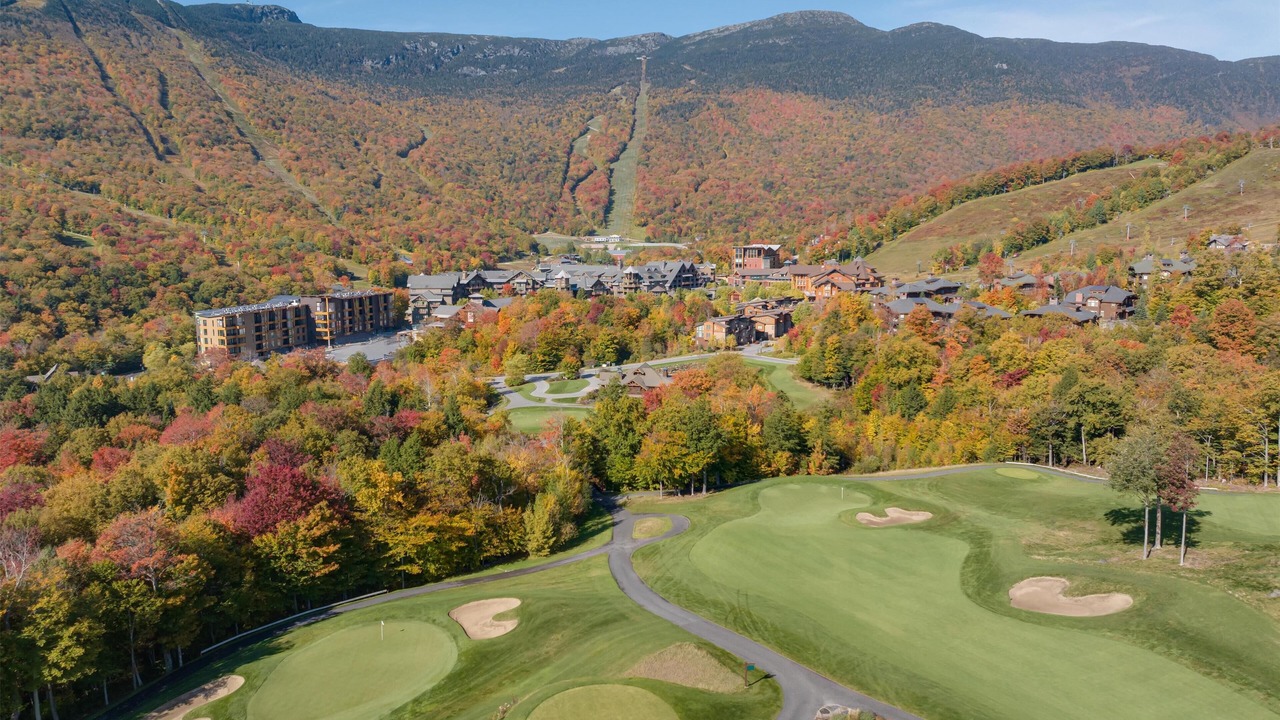 Photo of Others in Stowe Area