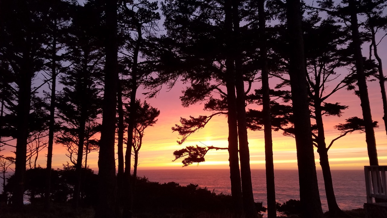 Photo of Others in Depoe Bay