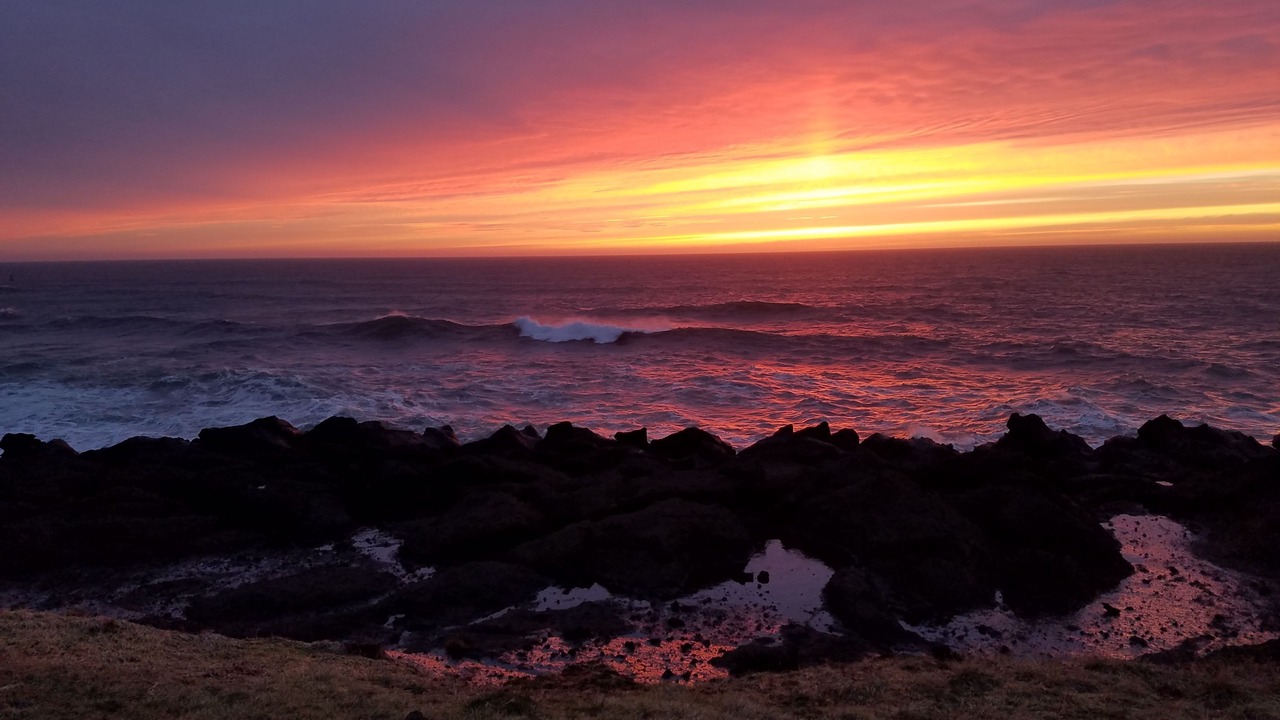 Photo of Others in Depoe Bay