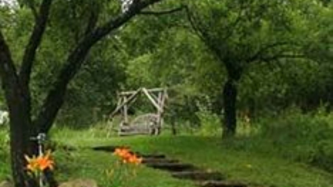Photo of Outdoor in West Dover