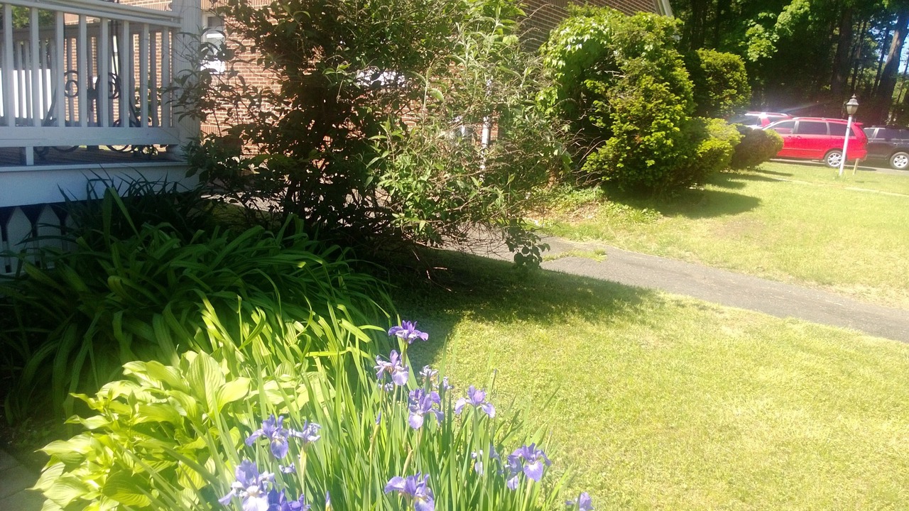 Photo of Outdoor in Springfield