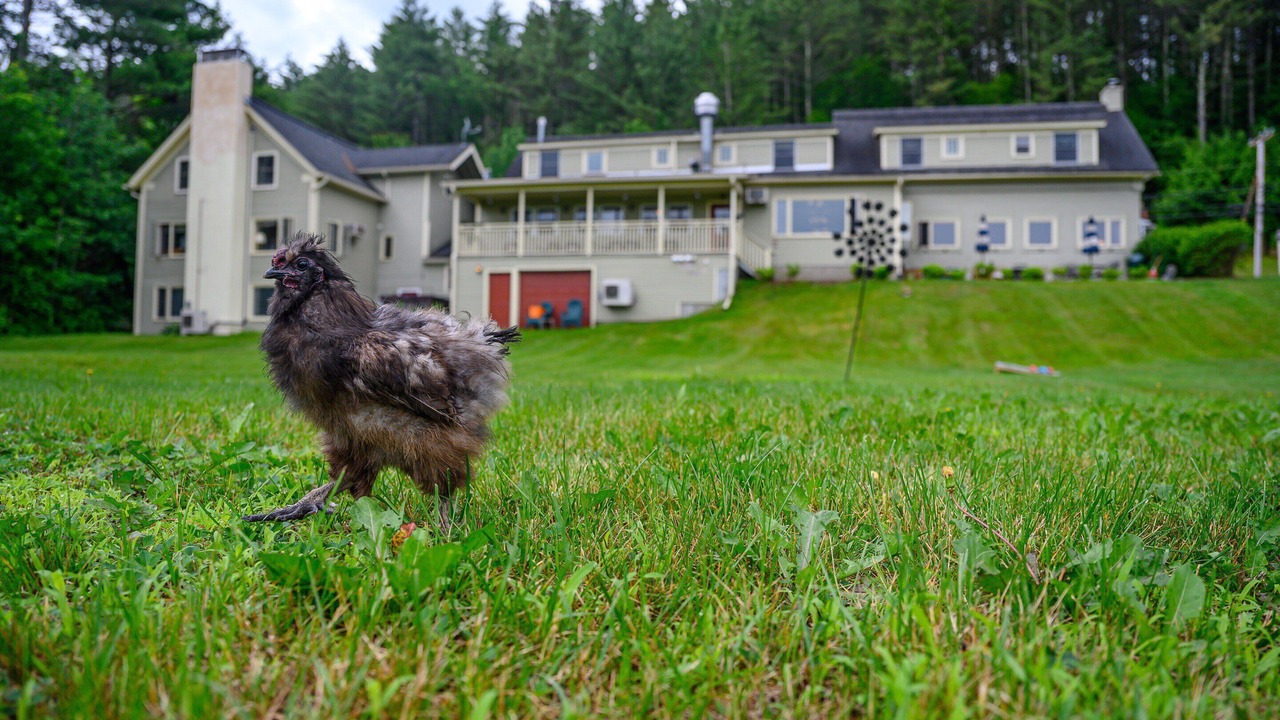 Photo of Outdoor in Stowe