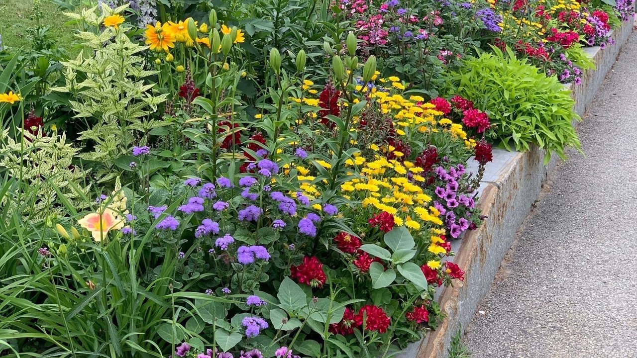 Photo of Outdoor in North Woodstock