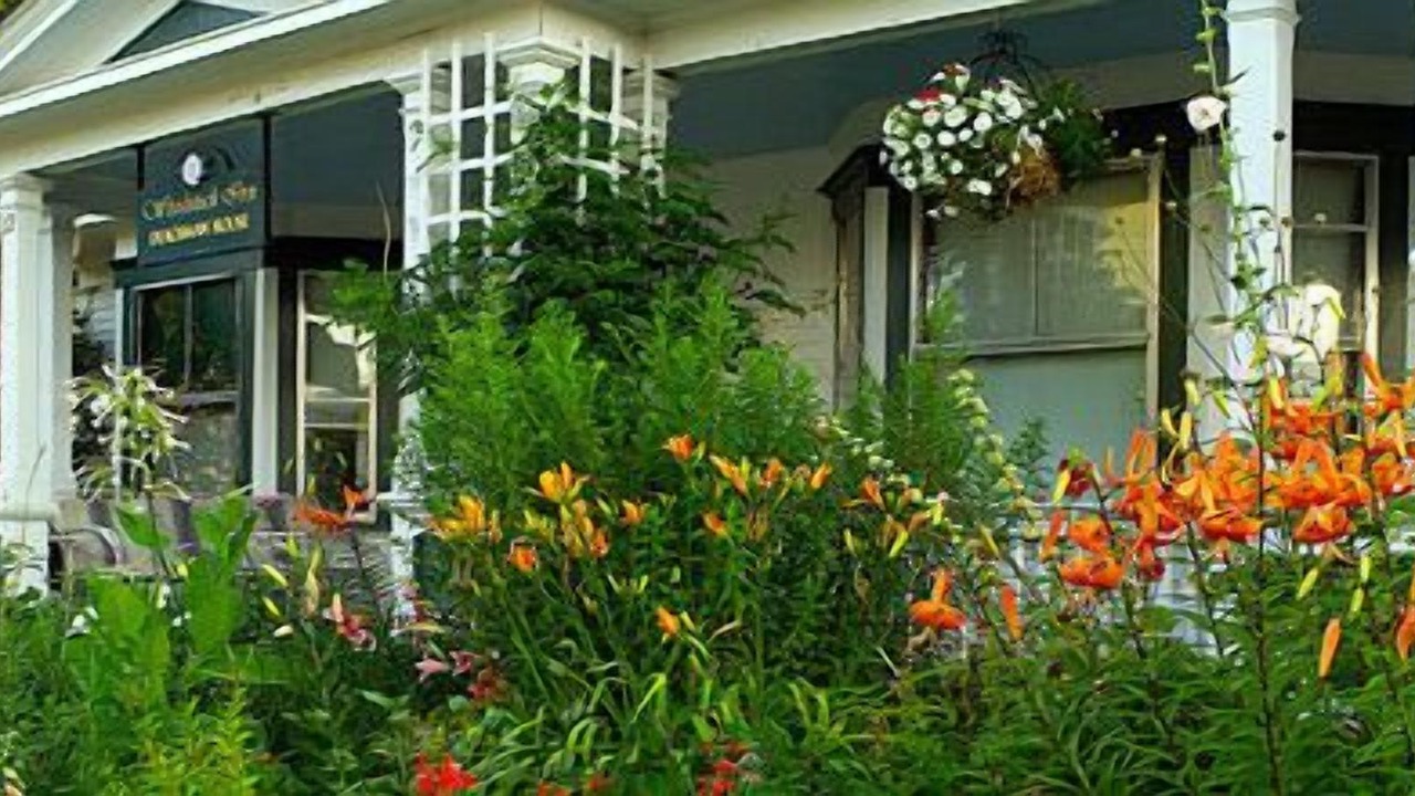 Photo of Outdoor in North Woodstock