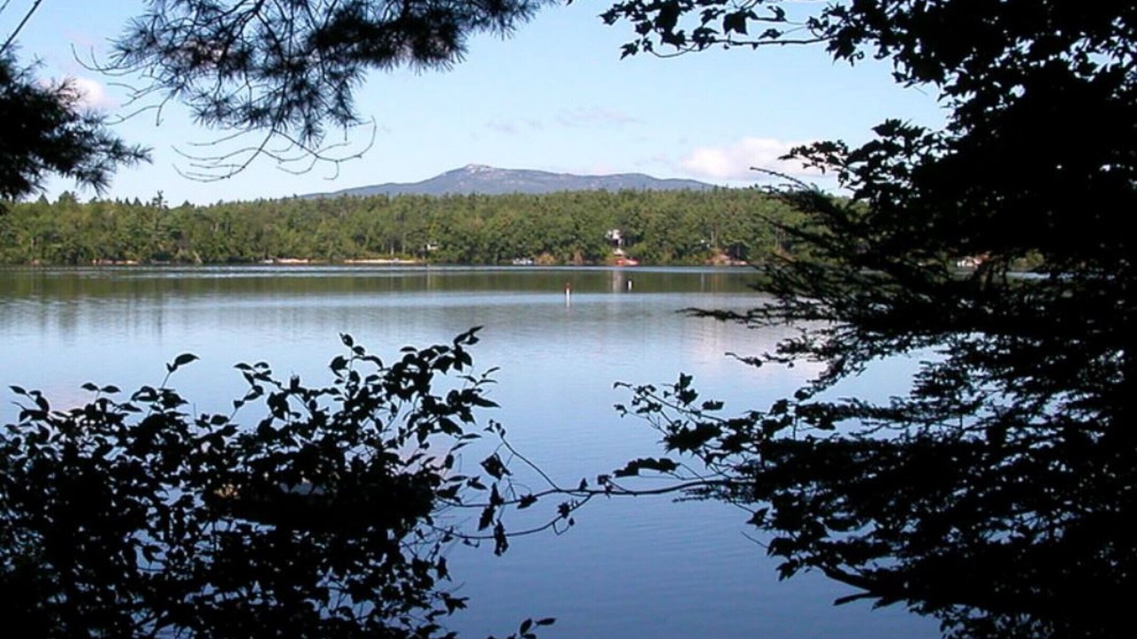 Photo of Outdoor in Rindge