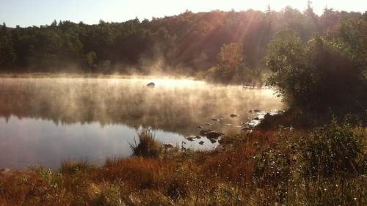 Photo of Others in Keene