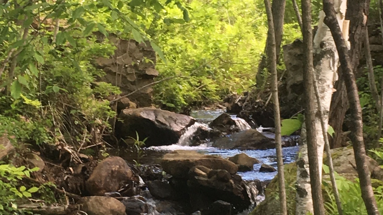 Photo of Outdoor in Wilmington