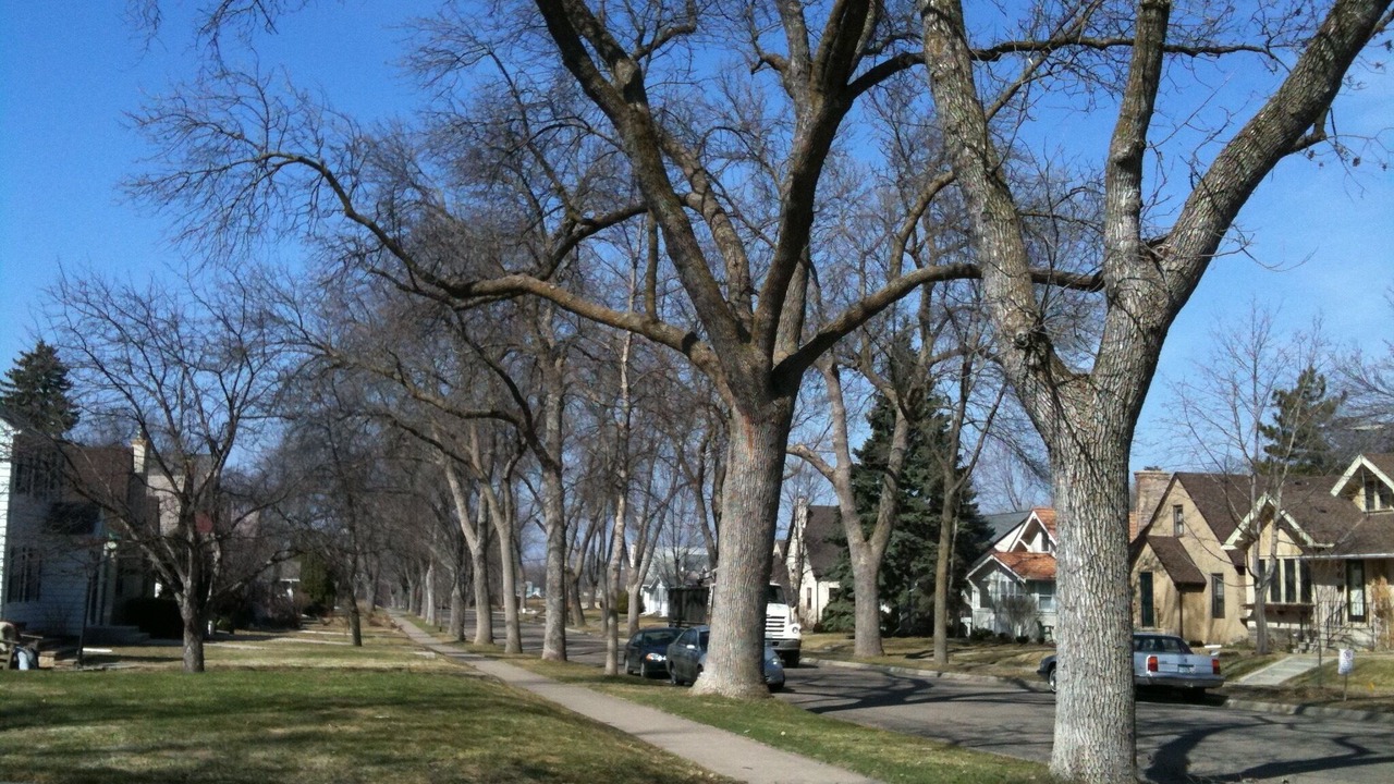 Photo of Outdoor in Highland