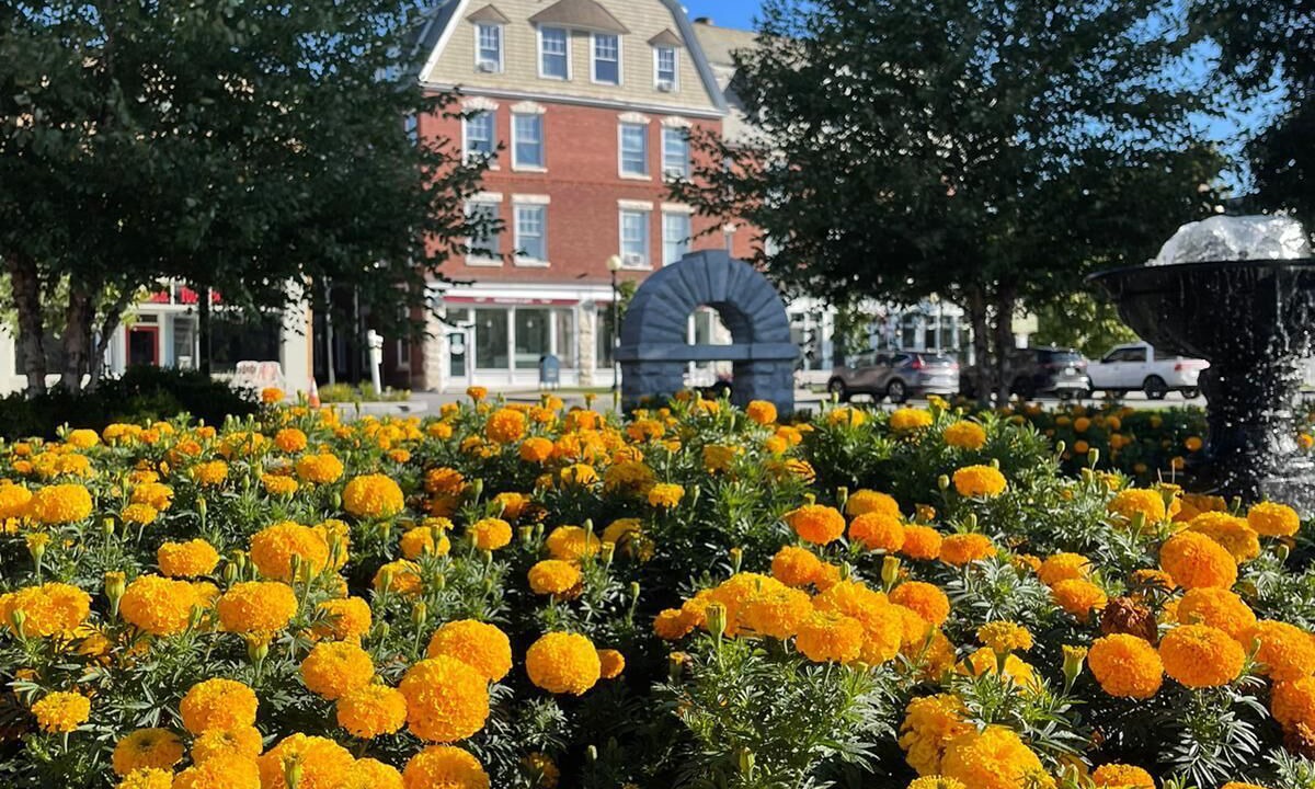 Photo of Outdoor in Brandon