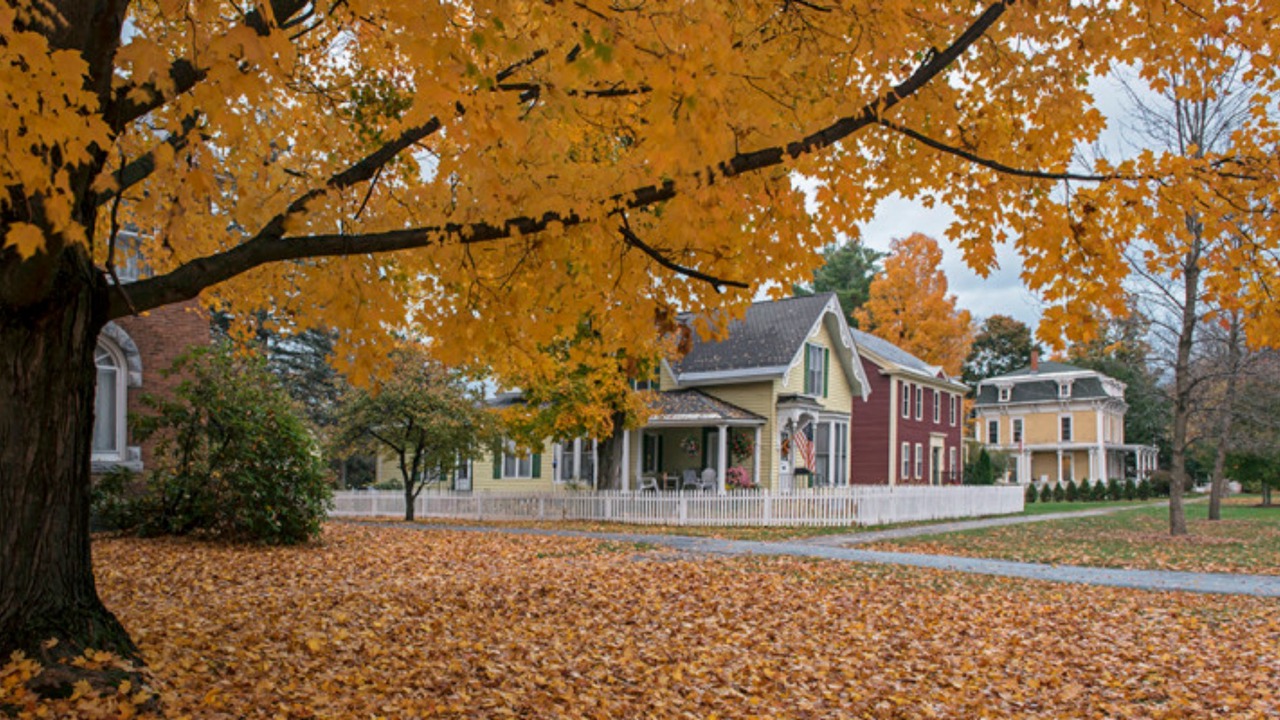Photo of Outdoor in Brandon