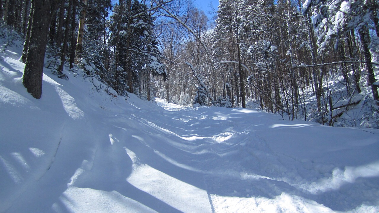 Photo of Others in Bretton Woods