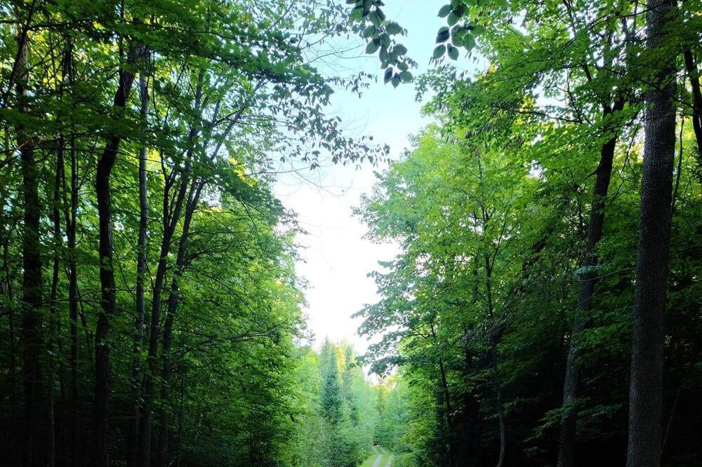 Photo of Outdoor in Wild Oak