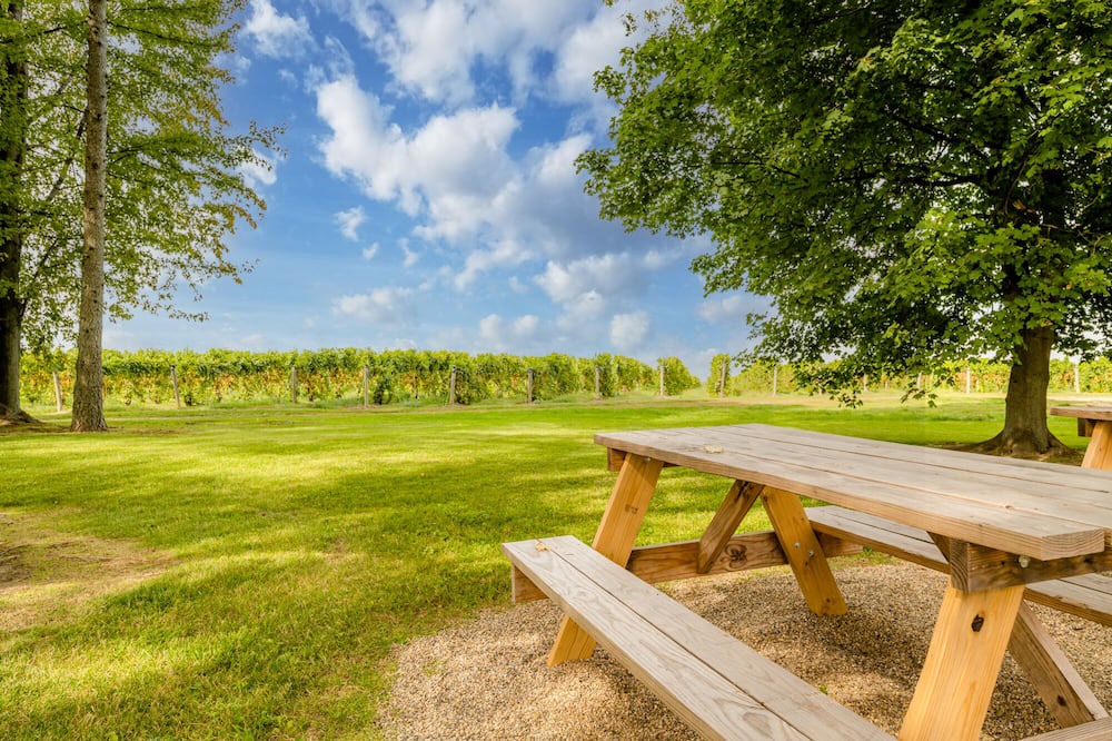 Photo of Outdoor in Berrien Springs
