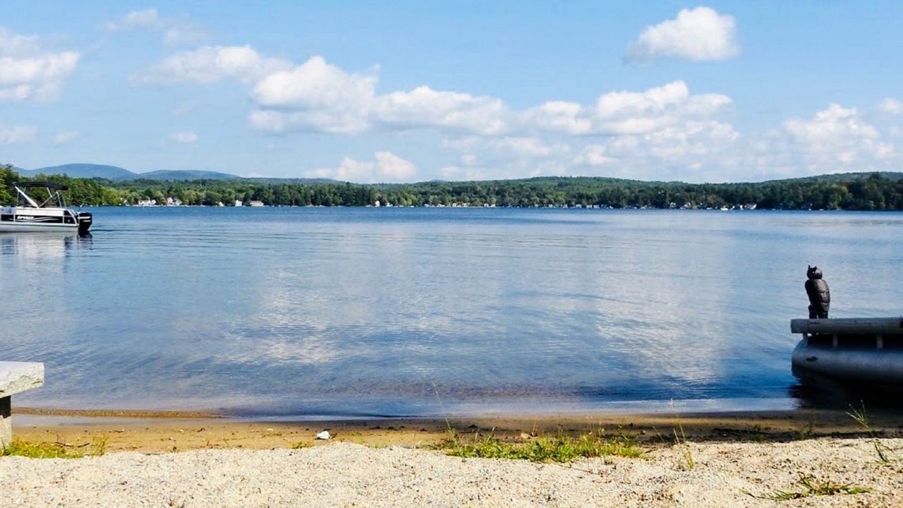 Photo of Others in Lochmere