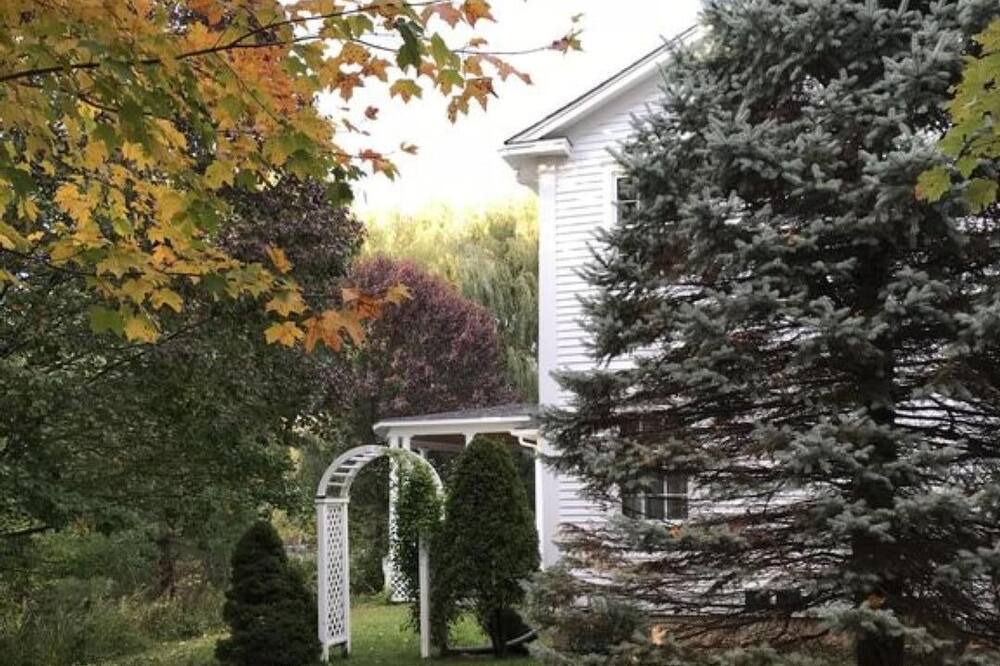 Photo of Outdoor in Williston North