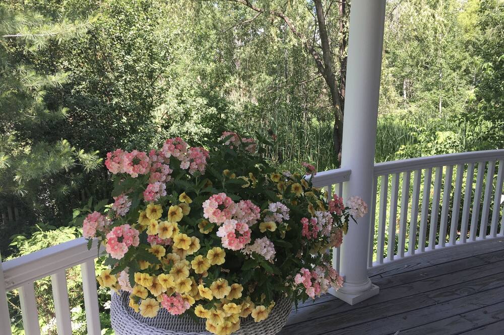 Photo of Patio Balcony in Williston North
