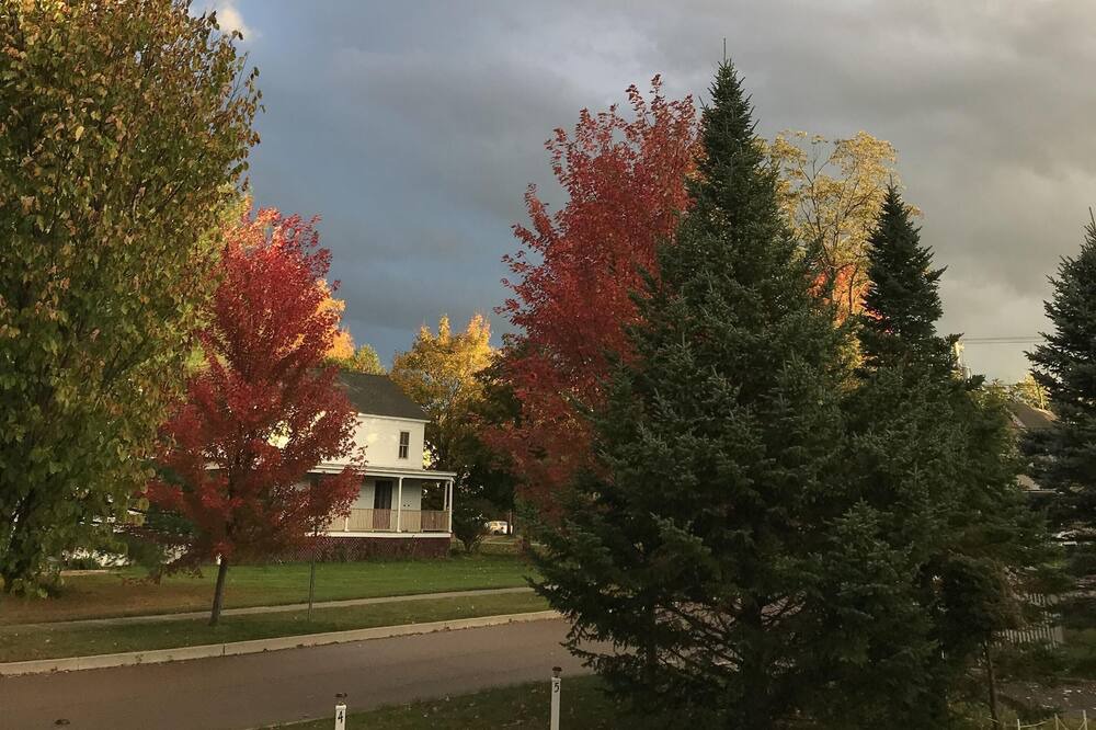 Photo of Outdoor in Williston North