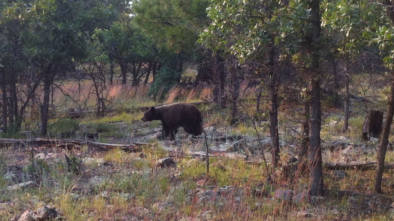 Photo of Outdoor in Rutheron
