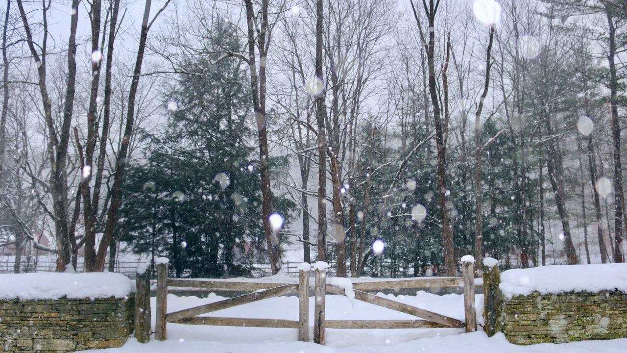 Photo of Outdoor in Grafton