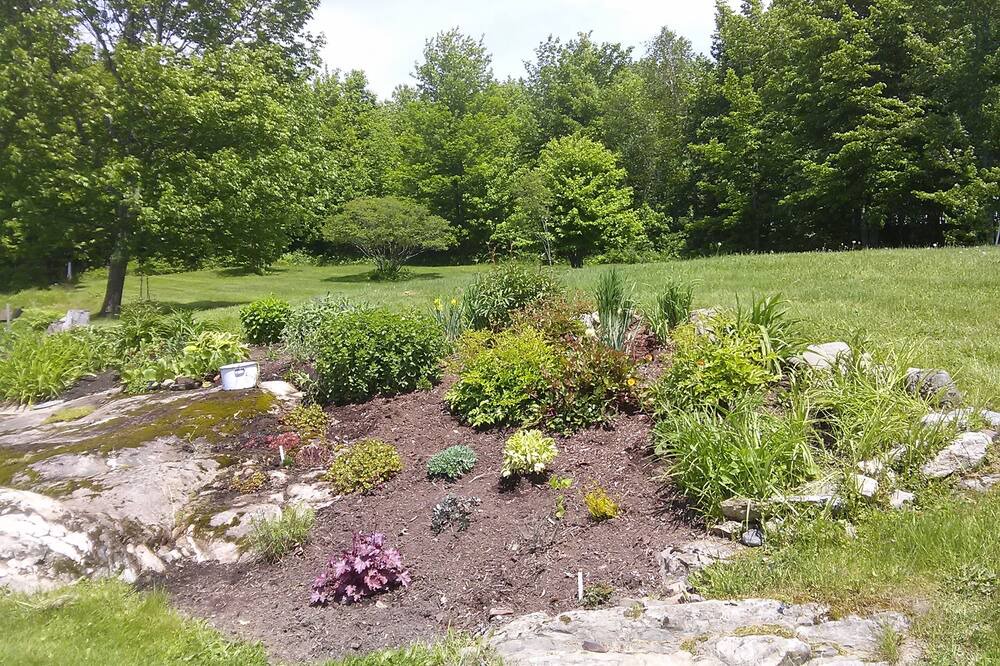Photo of Outdoor in Wolcott
