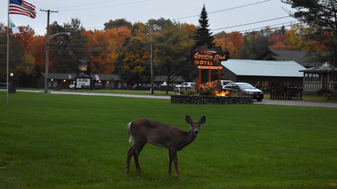 Photo of Outdoor in Thendara