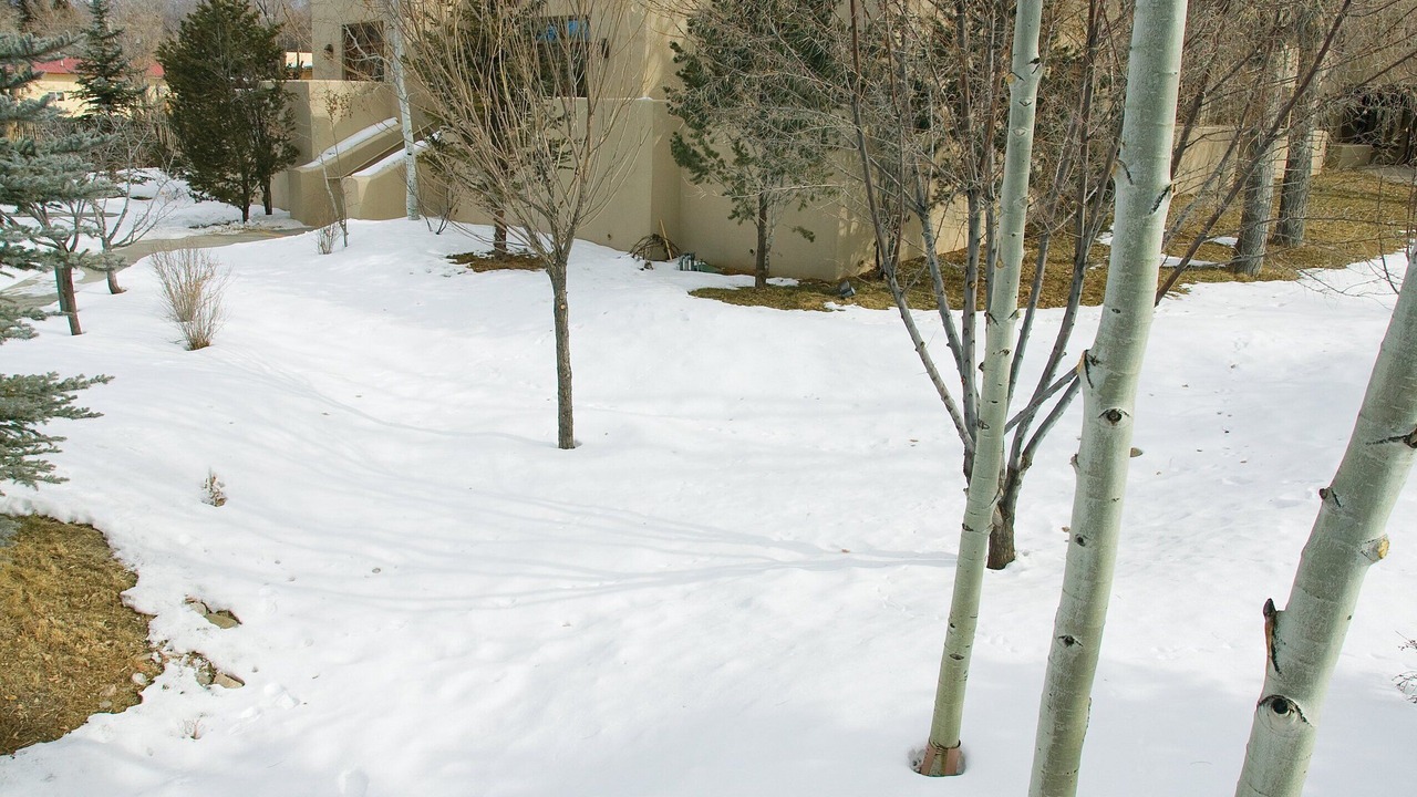 Photo of Others in Taos