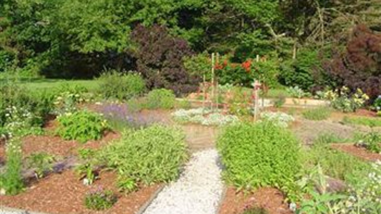 Photo of Outdoor in Candia