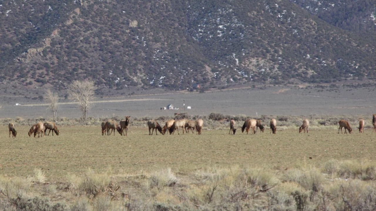 Photo of Outdoor in Antonito